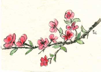 "Spring Apple Blossoms" by Elizabeth Clayton, Brookfield WI - Watercolor